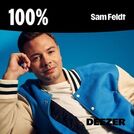 100% Sam Feldt